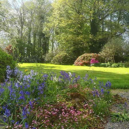 Carncairn Villa Broughshane Ruang foto