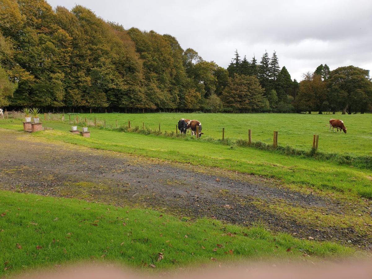 Carncairn Villa Broughshane Bagian luar foto