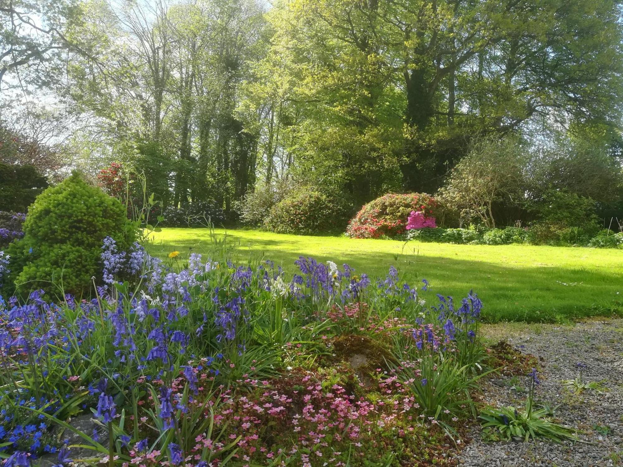 Carncairn Villa Broughshane Ruang foto