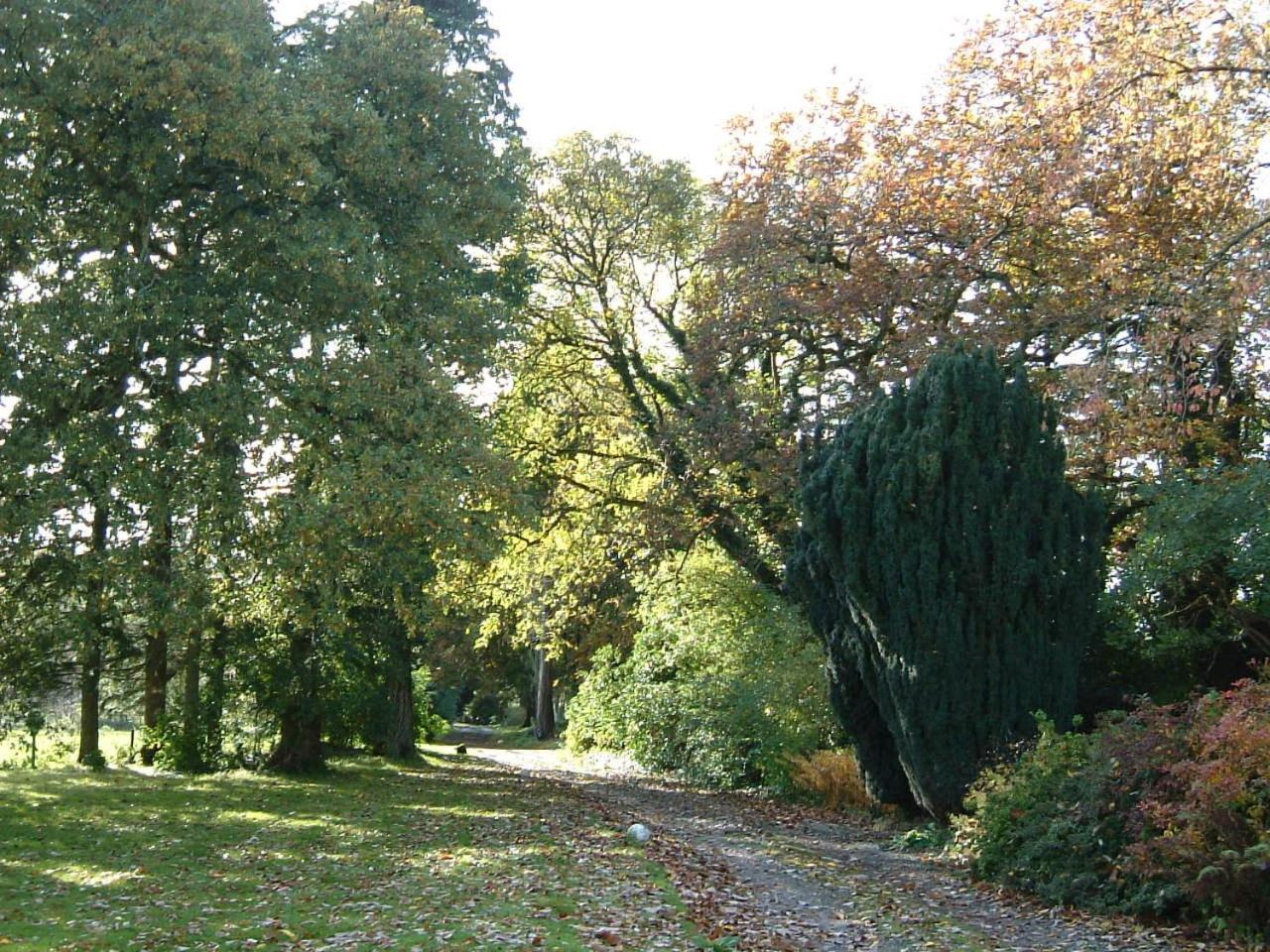 Carncairn Villa Broughshane Bagian luar foto